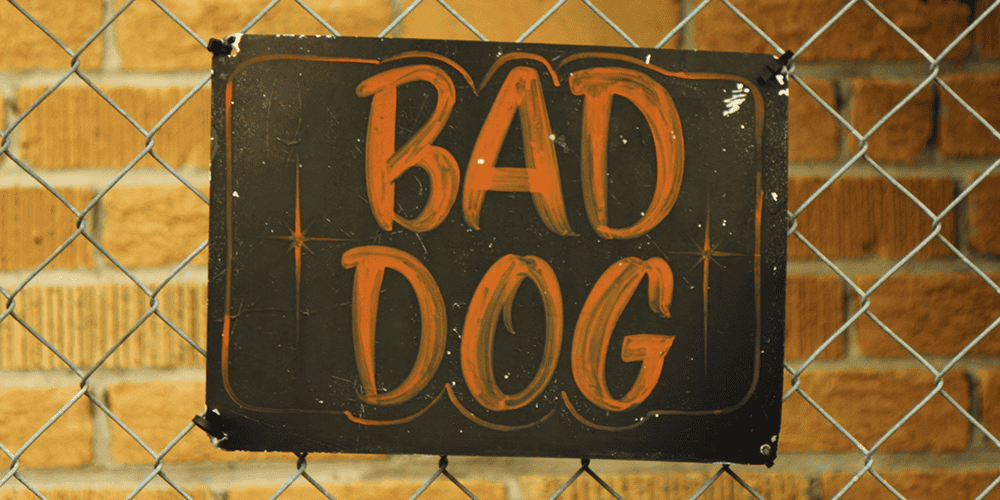 Dog Attacks Attorney Northridge | The King Law Firm