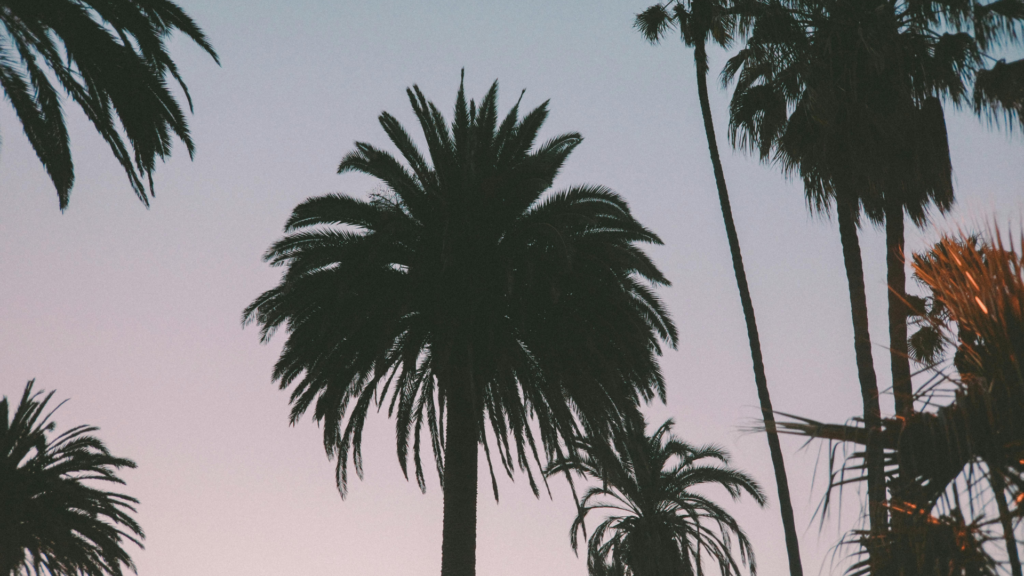 One Hospitalized After Multi-Vehicle Van Nuys Crash