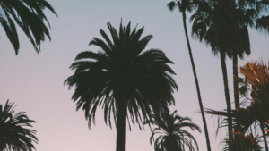 One Hospitalized After Multi-Vehicle Van Nuys Crash